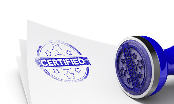 Certified Background 尊时凯龙·Z6(中国区)人生就是拼搏!